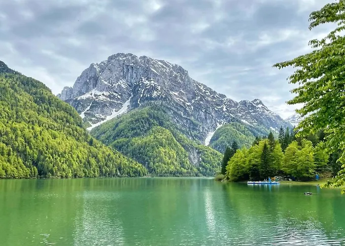 Starling Nassfeld הרמגור