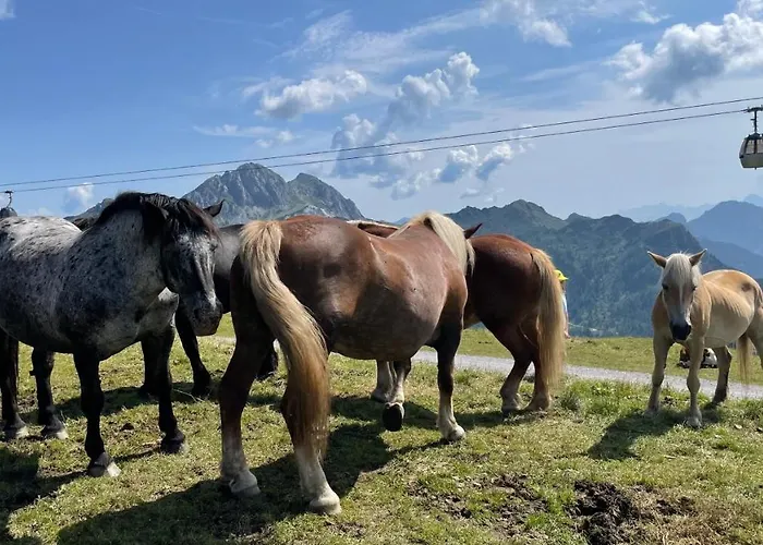 Starling Nassfeld דירה *