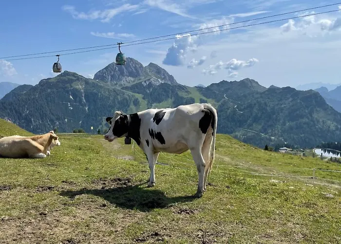 Starling Nassfeld דירה הרמגור